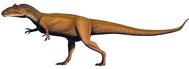 Allosaurus jimmadseni - Dinosaur National Monument (U.S. National Park  Service)