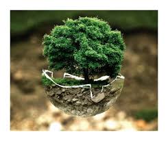 Apr 22, 2020 · on 22nd april, 2020 earth day celebrated its 50th anniversary. Nhrfqoeuhuaibm