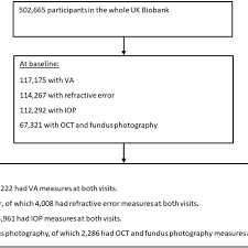 flow chart of participants with the eye measures at baseline