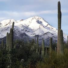 The table below shows the snow cover in arizona. 2019 In Tucson And Arizona Starts With Snow Local News Tucson Com