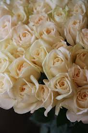 It was therefore no surprise when the jewelry brand took the yves piaget rose as an icon for the jewelry house. Pin On Pretty