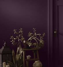 Midnight Flora Is BeautiTones Dramatic Colour Of 2025: Heres Why - VITA  Daily