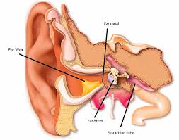 Could My Child'S Ear Wax Cause Inner Ear Problems?