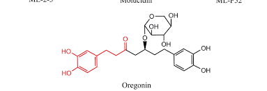 Image result for Morinda lucida