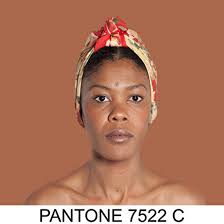 Jason Walcott Fine Art