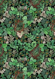 Camiseta Salve O Coração Da Amazonia Premio Estampa Brasil Folhas Da Amazonia Marina Alves Boaventura Sao Paulo Sp Estampas Estampas Florais Arte Quadro