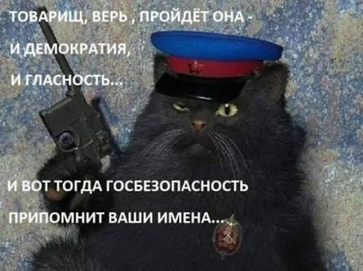 https://encrypted-tbn0.gstatic.com/images?q=tbn:ANd9GcSaP5RNUbgA5yiqCsvPtoyeXaWbdWjFptVs9y6XDRVwmouAsmEdtzkrTQDS&amp;s=10