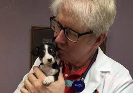 Taking the fear, anxiety, and stress out of animal shelters: Is it  possible?