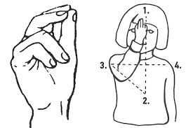 images?q=tbn:ANd9GcSaPA8RbqoRDCPmbz_57t0