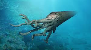 Image result for Osyridicarpos