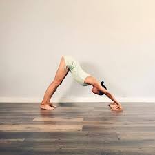 Detail Depth The Final Preparation For The Hand Wrist Shoulder And Chest Aspects Of The Peak Pose Parsvottanasana Is This Yoga Zone Iyengar Yoga Poses