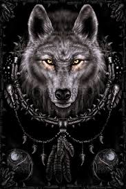 Indian Wolf Kurt Dovmeleri Siyah Kurtlar Polinezya Dovmeleri