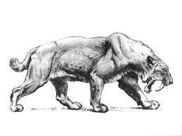 Smilodon Populator A Large And Burly Saber Tooth Cat Roamed South America Throughout The Pleistocene To Early Holocine Charles Smilodon Sabertooth Tiger Art