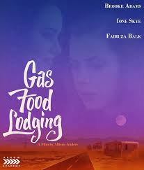 Gas Food Lodging Blu-ray Review: A Moving Study of Women on Their Own Terms  - Cinema Sentries