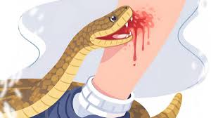 Kerala unveils action plan to end snakebite deaths by 2030
