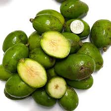 Image result for Spondias