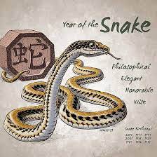 Year Of The Snake Calendar White Snake Zodiac Year Of The Snake Chinese Zodiac Snake