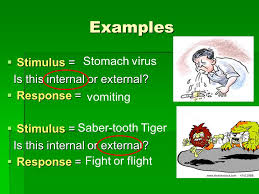Stimulus Response Teks 7 13b Describe And Relate Responses In Organisms That May Result From Internal Stimuli Such As Wilting In Plants And Fever Or Ppt Video Online Download