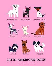 Delightful Illustrated Posters Are A Guide To 192 Dogs Of The World Dog Breeds Dog Breeds List Cute Animals