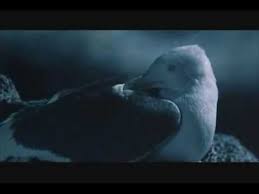 Neil diamond jonathan livingston seagull. Neil Diamond Be Jonathan Livingston Seagull Youtube