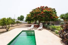 Villas & luxushäuser mit pool in teneriffa süd! Ferienhaus Teneriffa Ferienwohnungen Und Ferienhauser Auf Teneriffa Kanaren Spanien