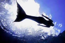In folklore, a mermaid is an aquatic creature with the head and upper body of a female human and the tail of a fish. 15 Photos Of A Real Life Mermaid You Have To See To Believe