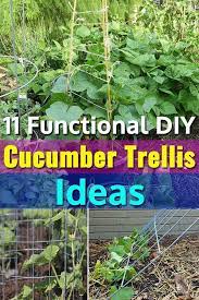 25 Functional Diy Cucumber Trellis Ideas Cucumber Trellis Vegetable Garden Trellis Vegetable Trellis