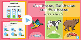 Physical adaptations of herbivores animals. Ks1 Powerpoint On Carnivores Herbivores And Omnivores