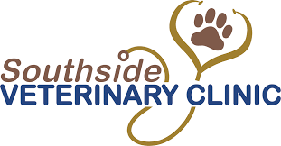 Honda graduated from the ontario. Visit Southside Veterinary Clinic In Lloydminster