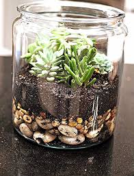 Diy Succulent Terranium Use An Old Candle Jar Diy Succulent Terrarium Succulents Diy Terrarium