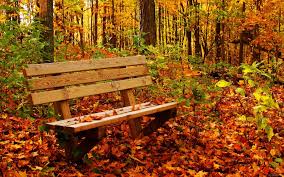 hd wallpapers 1080p nature 68 pictures hd wallpapers 1080p nature 68 pictures