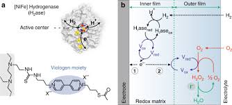 Krishna arrives in india to get married to shruti, but when krishna saves her father from an attack, it is revealed he has a hidden agenda. Suppressing Hydrogen Peroxide Generation To Achieve Oxygen Insensitivity Of A Nife Hydrogenase In Redox Active Films Nature Communications