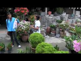 Sungai buloh, or sungei buloh, is a town, a mukim (commune) and a parliamentary constituency in the northern part of petaling region, selangor, malaysia. Sg Buloh Nursery Youtube