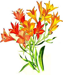 Pin On Edible Perennials