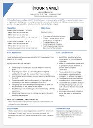 Senior Account Executive Resumes Word Excel Templates