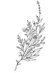 Wildflower Tattoo Google Search Wildflower Tattoo Ink Tattoo Tattoo Parlors