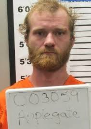 Douglas County man charged after alleged assault leaves man comatose