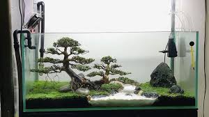 Pin On Aquarium Driftwood