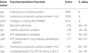 Wir unterstützen den #vfdb seit nunmehr 10 jahren als kooperatives #mitglied. Putative Virulence Associated Genes In E Avium 352 Predicted By Vfdb Download Scientific Diagram
