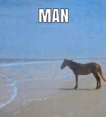 My channel don't forget to leave a like, subscribe and share for more! Someone Please Explain The Man Horse Meme To Me Memes