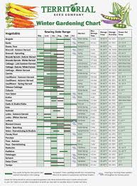 71 Rigorous Vegetable Garden Companion Planting Chart