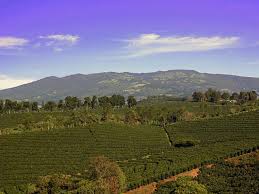It was written by frank renzulli, robin green, and mitchell burgess and directed by john patterson, and originally aired on march 19, 2000. Eight Mistakes About The Weather Of Costa Rica Camino Travel