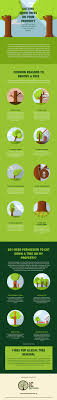 First of all, you need to check all the good angles meant to help in cutting down the particular tree at a pristine position. Cutting Down Trees On Your Property Read This First Infographic