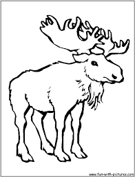 Being very inquisitive, a mouse will nibble or feed on any available human food, as well as other household. Coloring Pages Moose Coloring Home