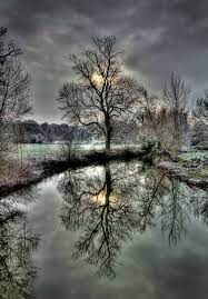 Cold Tree Shivers Reflection Photography Beautiful Nature Nature Photography