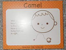 Please find below many ways to say camel in different languages. 1 Day At Home Learning About Camels Through Individualized Instruction