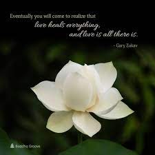 If you like this board, you will love this blog post: A Quote By Gary Zukav About Healing And Love Gary Zukav Buddha Groove Beautiful Flowers Images