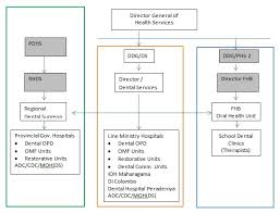 Organization Structure Dental Services Ministry Of Health