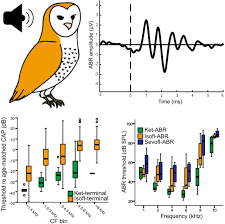 Album je možné remixovat, abyste ho mohli sledovat jako video. Gas Anesthesia Impairs Peripheral Auditory Sensitivity In Barn Owls Tyto Alba Eneuro