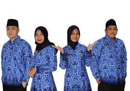 Direktur penerimaan dan perencanaan strategis: Formasi Cpns Dan Pppk 2021 Kabupaten Aceh Selatan Analisa Aceh